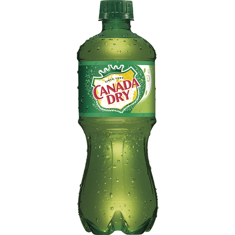 Canada Dry Ginger Ale 20oz Plastic Bottle