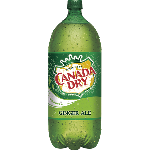 Canada Dry Ginger Ale 2L Plastic Bottle