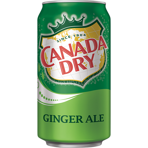 Canada Dry Ginger Ale 12oz Can