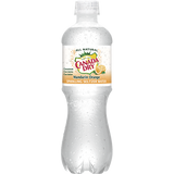 Canada Dry Mandarin Orange 20oz Plastic