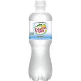 Canada Dry Original 20oz Plastic