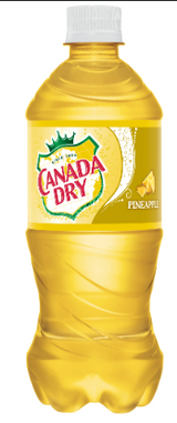 Canada Dry Pineapple 20oz